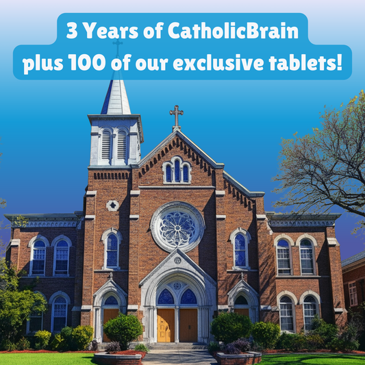 CatholicBrain Parish/School Plan – 3-Year + 100 Tablets